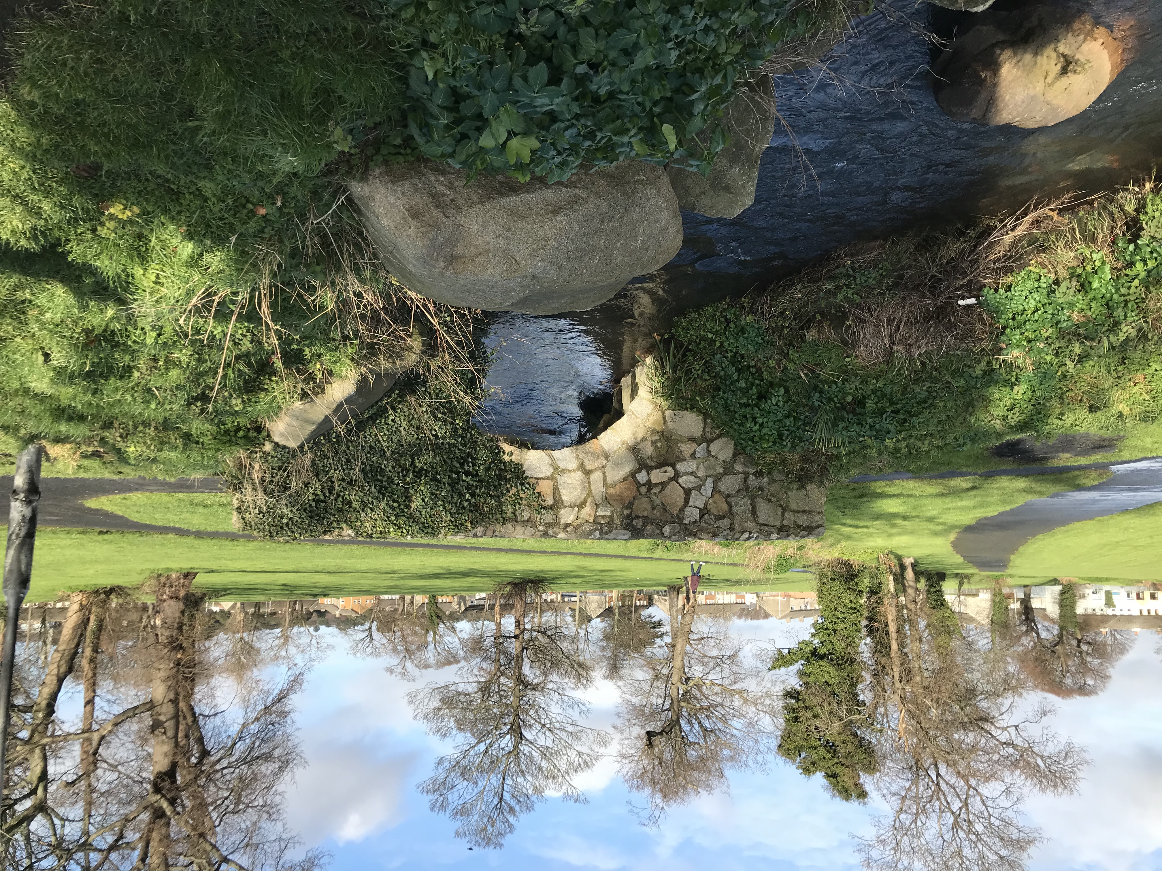 Image 9: Deansgrange Stream at Glenavon Park